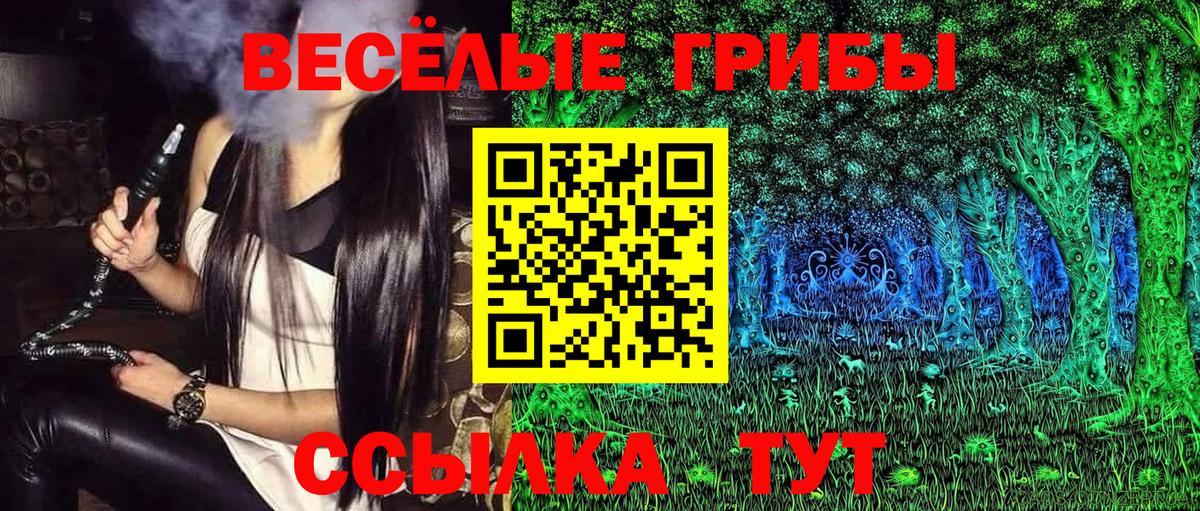 Псилоцибиновые грибы мухоморы  Псилоцибиновые грибы прущие грибы  сколько стоит  Корсаков  Вход с VPN 